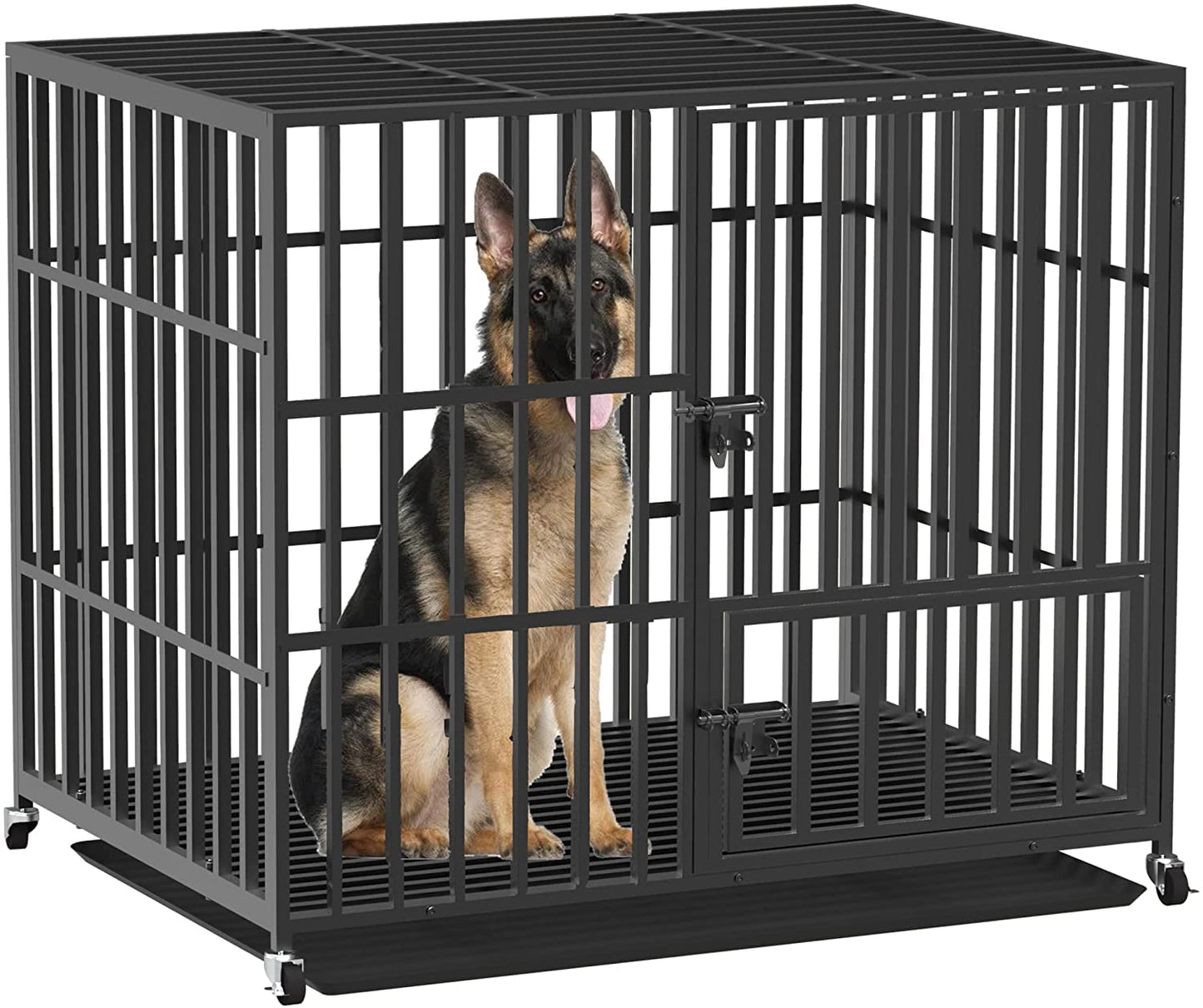 Cage Transport Chien Premium