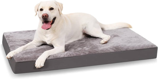 Coussin Orthopédique pour Chien