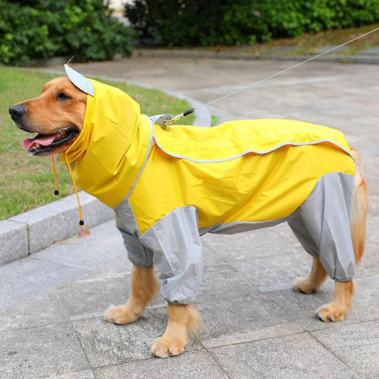 Cape Imperméable pour Chiens